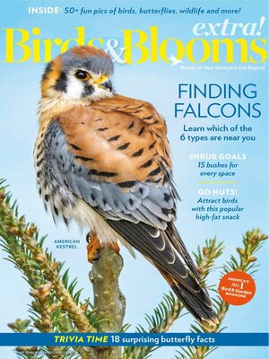 cover image of Birds and Blooms Extra